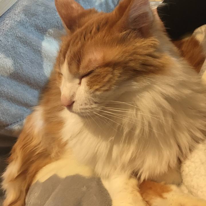 31a1bb59 6119 4287 bd81 4e4f9990f546 1576160052692