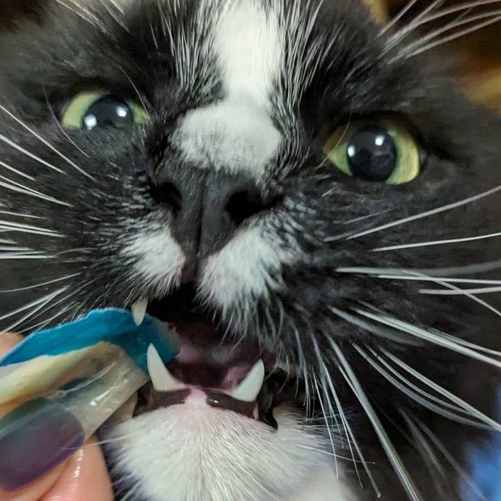 31a1caaa 47a1 4eb8 91db c348410a1c2e 1718193348143