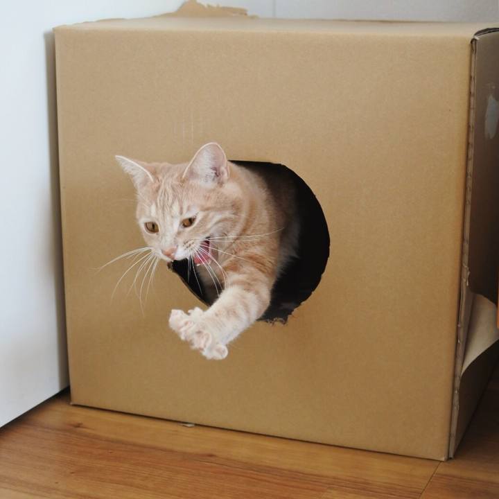 31a1d395 3cdf 40ab 967c 133a9c163136 1578724623675