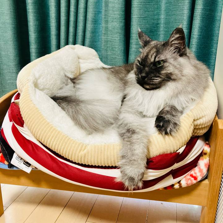 31a1de18 1675 4af5 937b 364c48413863 1748478505551