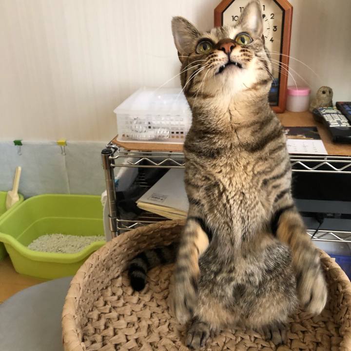 31a20f4d 52ec 4aba 867b 671daba44160 1530581452013