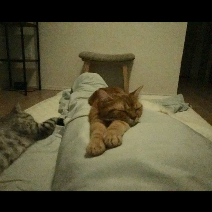 31a242c3 63b5 4340 a0de 60ade167e50e 1536409291179