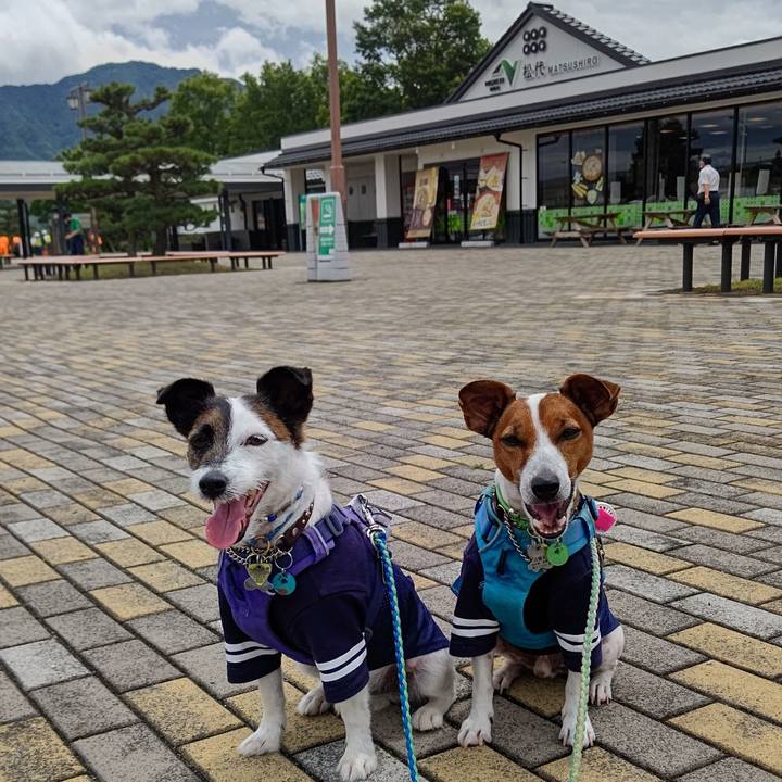 31a25ead f257 4093 97ea e35bf38b11c8 1657850289343