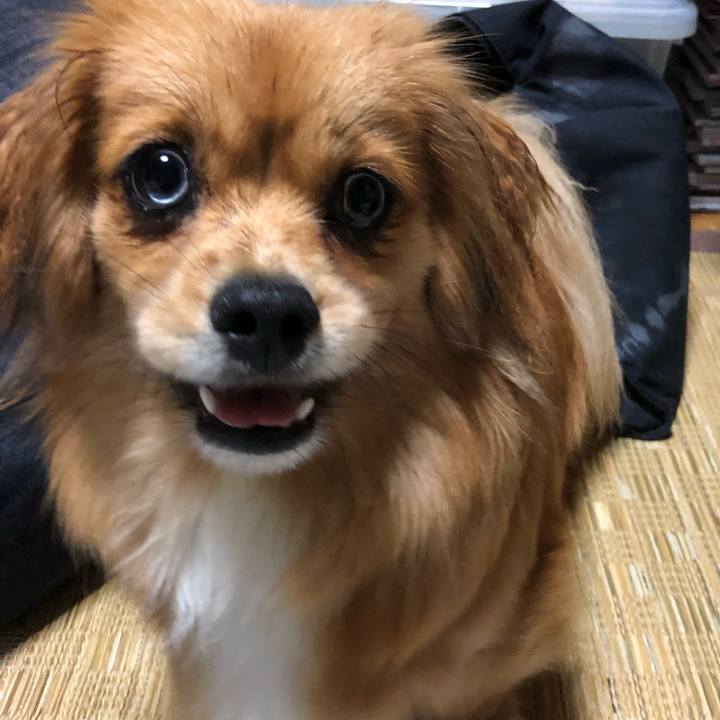 31a26840 17c9 40e2 9926 a757367b1480 1526250801332