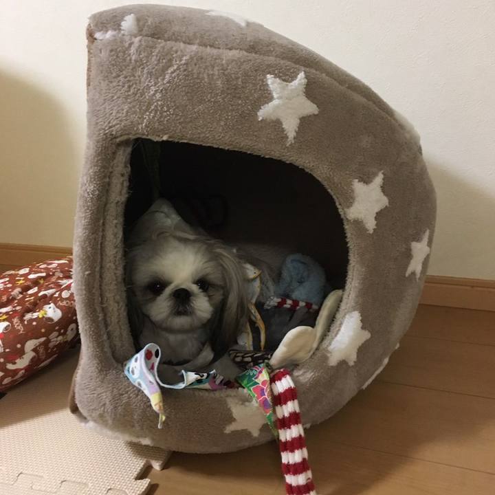 31a28932 72ac 41f4 9198 51b42ac79619 1555729159266