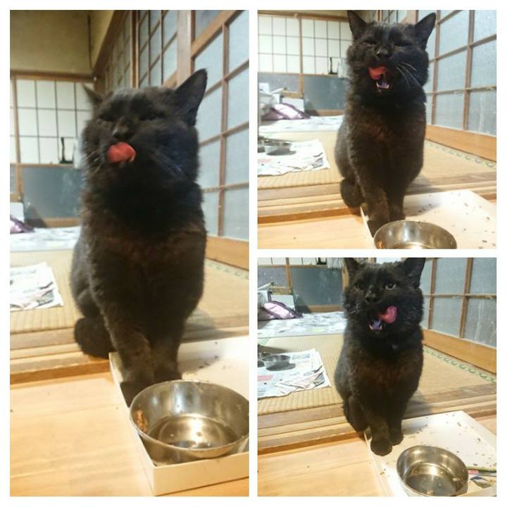 31a29da8 2477 4e72 970c 58084045bdfa 1619436339771