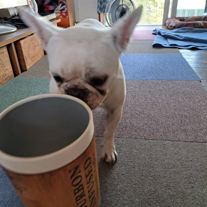 31a2a426 dd77 4505 9131 bbe92c502c81 1690324505770