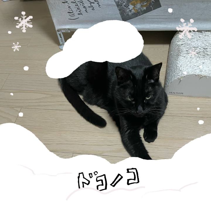 31a2c418 97cf 44ef af9c 12843d5750fe 1772107435833