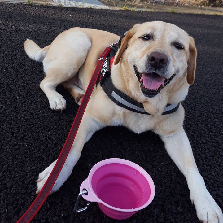 31a3079c ed10 4f9e a2d1 cdc0766ff53d 1592178365379