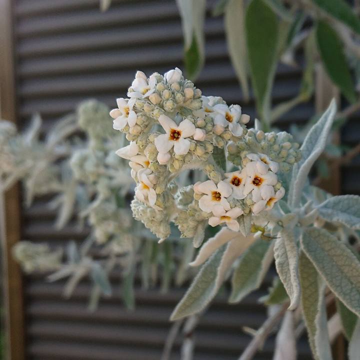 31a346b8 7f2f 4f46 aa7a cc30b10be77d 1649389149953