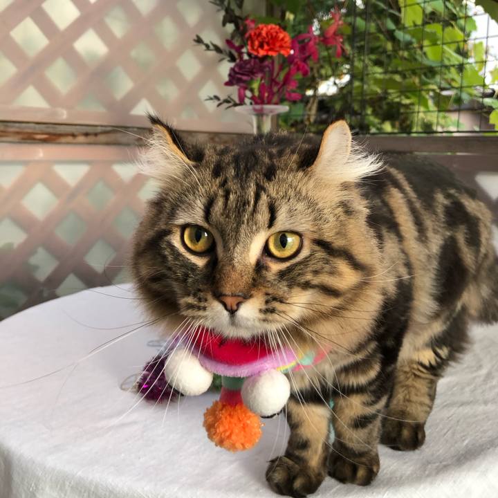 31a355ca 98f5 4097 9a1f f5fe5c4cdab8 1574120447283