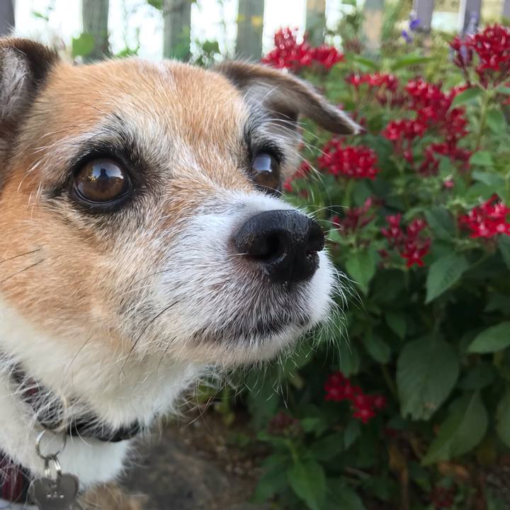 31a359cb 2535 47e5 ae60 5400086e8122 1570243846867