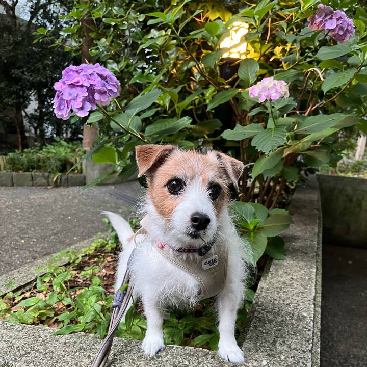 31a3727f 0ba6 4a2b b347 7a6f3cf90fd9 1762048545094