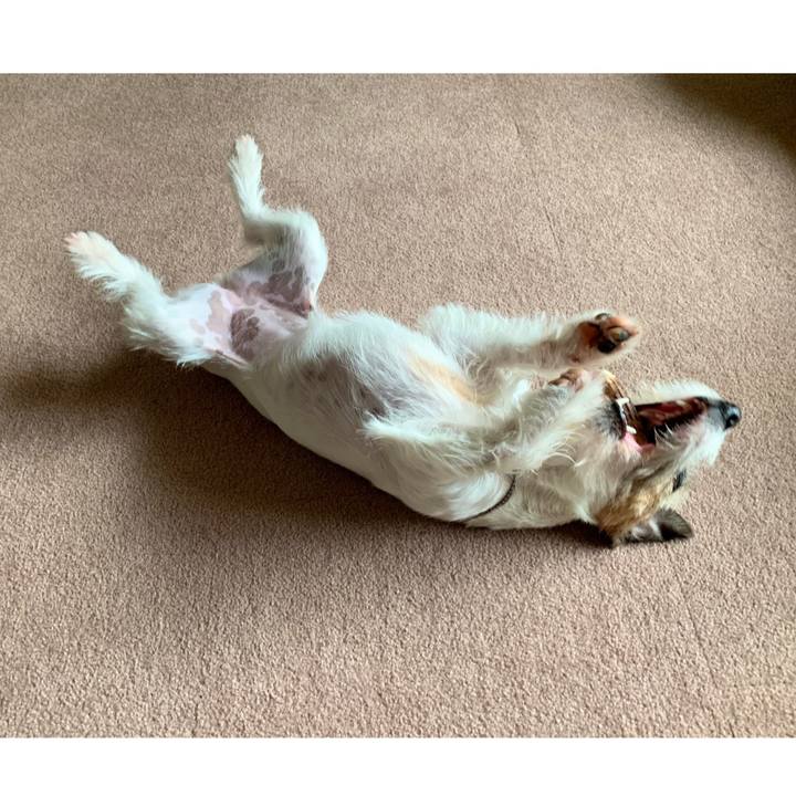 31a3792e bf2b 46f0 a2d3 fb86fa994f77 1587540653119