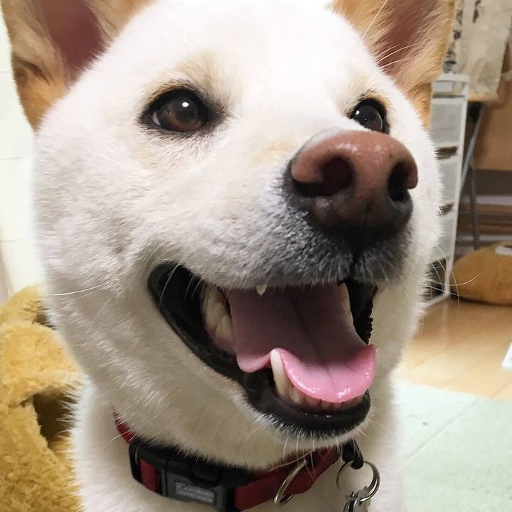 31a39783 2910 4cf1 b8ba d31806bc19bf 1532734857382