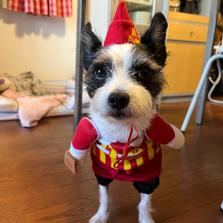 31a3d954 b679 4746 9f75 3c6827294d52 1662796486721