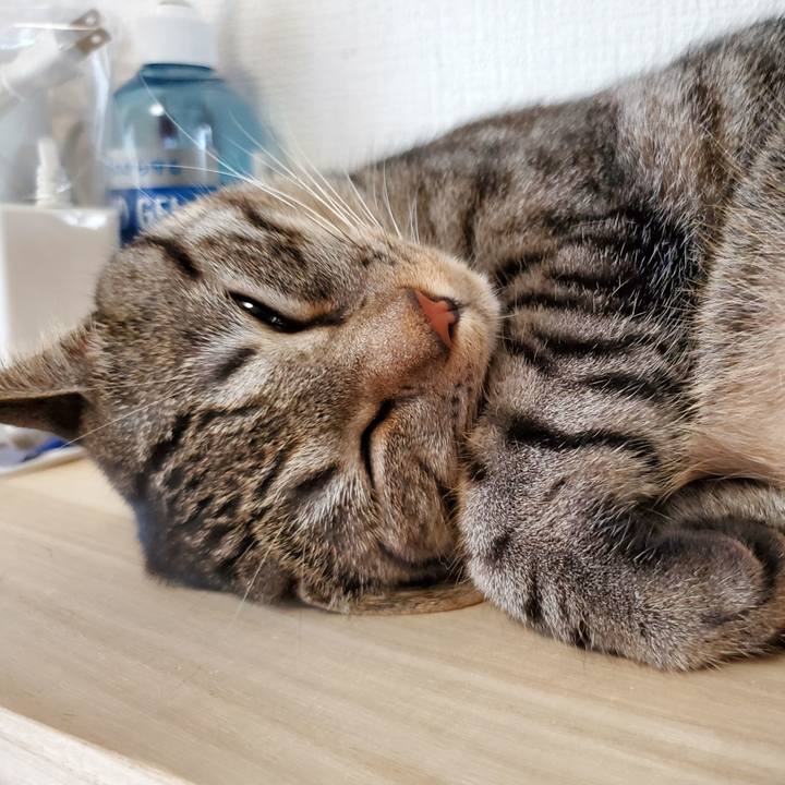 31a40859 d60f 4090 a884 98c0867f1f0d 1700235264265