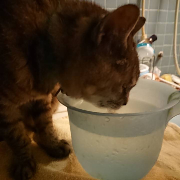 31a427f0 c368 4d8a b9f5 7d4f9a6349e4 1567420800578