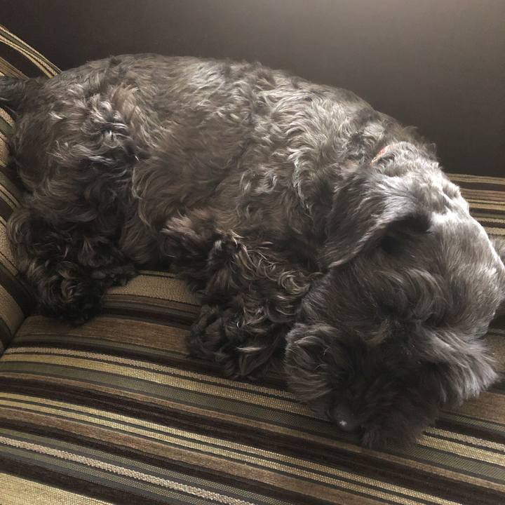 31a45105 18f9 4f06 a808 28f6081fe865 1560821661434