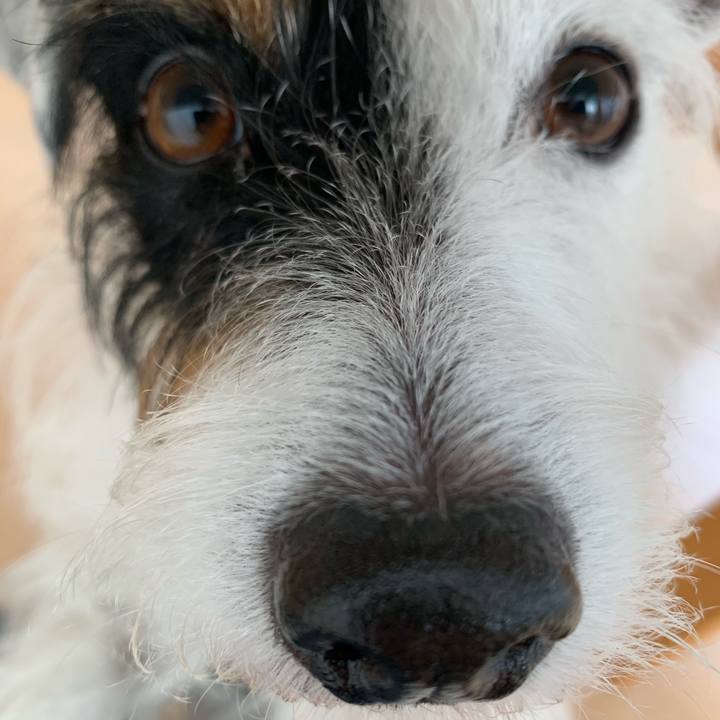 31a455c2 087d 42c4 9fbe 4549dc0ab9df 1574118741423