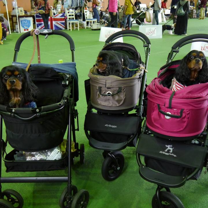 31a45a7f ed60 414d 911f 3fd21b8f8066 1510724485468