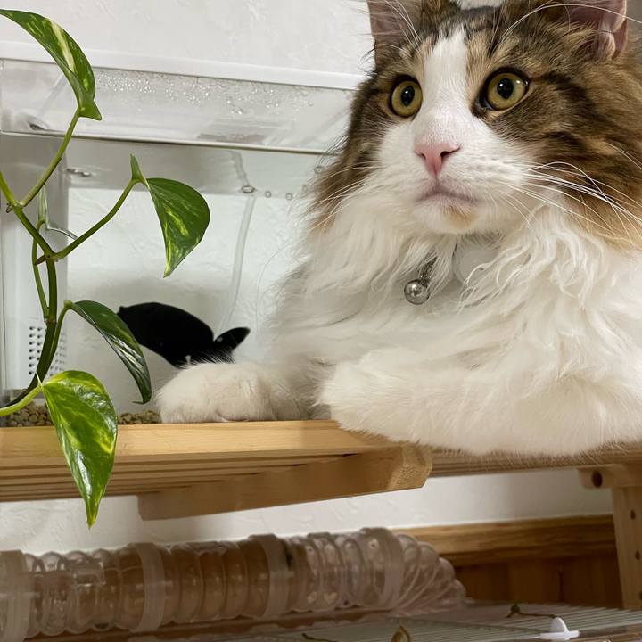 31a53ca2 c35d 4a50 88ce 6ce926b100d5 1643746672862