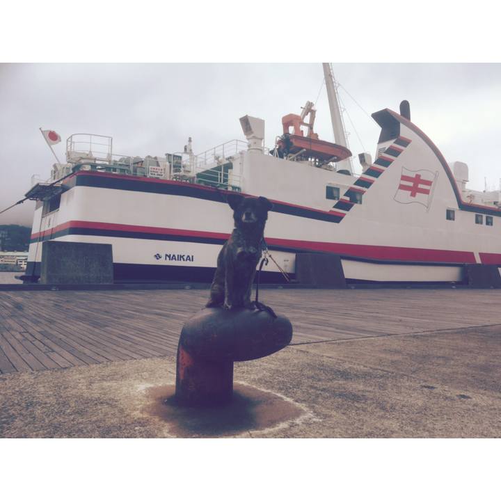 31a54856 186a 43a1 bb22 ae6138973c3f 1556085401382