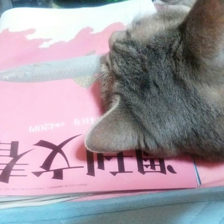 31a55ed5 88cb 497d b97e e0603871300b 1538571353808