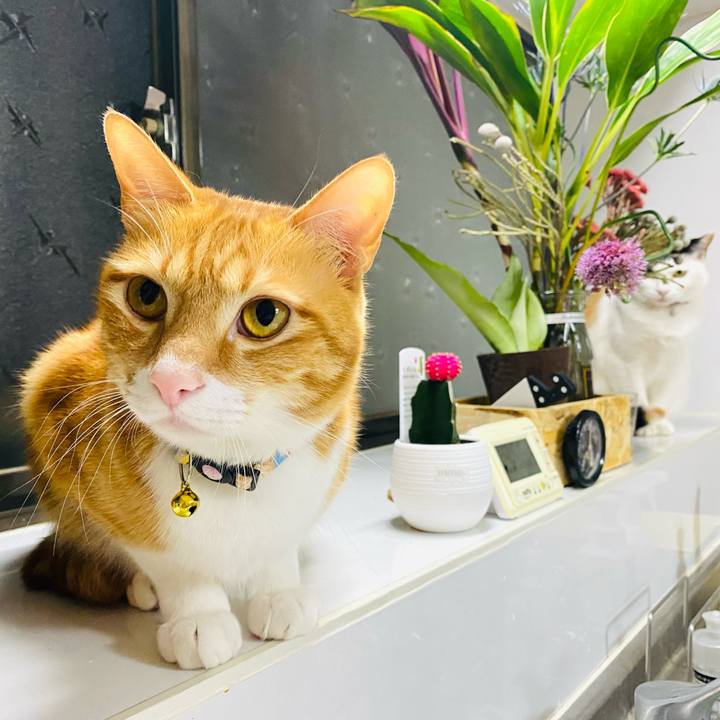 31a56415 1a42 48d1 a0cf 529c5b63acf0 1678103516171