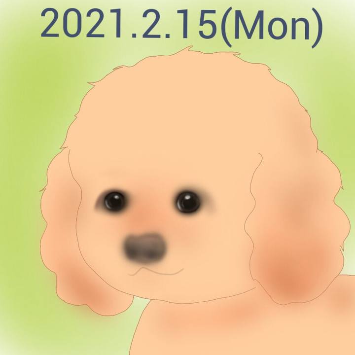31a56988 8641 4651 a27a 5d6b48b9e799 1613389720461