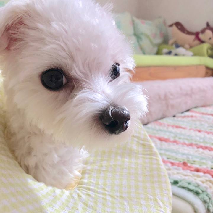 31a5a84e 8c4a 4a97 9792 59ff142afa53 1543214850521