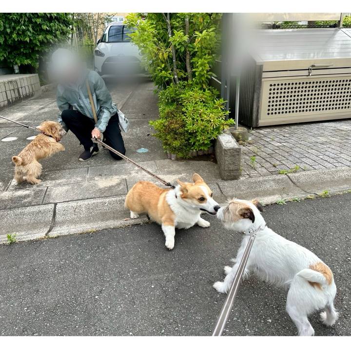 31a5f5bb 9696 4eda 9043 081b6d8a9370 1718619378365