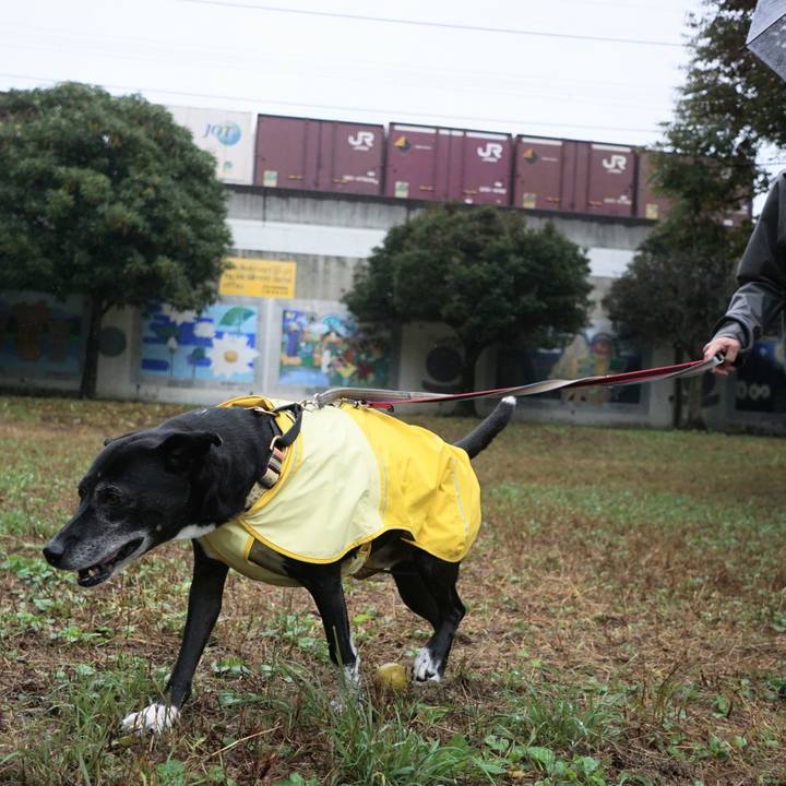 31a5fb1d 8eb6 4e15 bdf0 72be4e2c5558 1761349857780