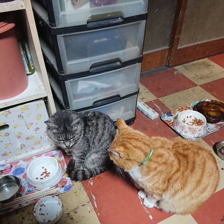 31a5fdd3 c3ae 4c62 9485 39e973a7e5ae 1584004014567