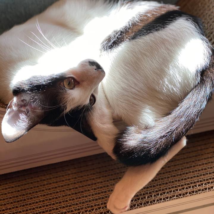 31a61544 680e 4fec 9afe 165c3efc2a6f 1582077699044