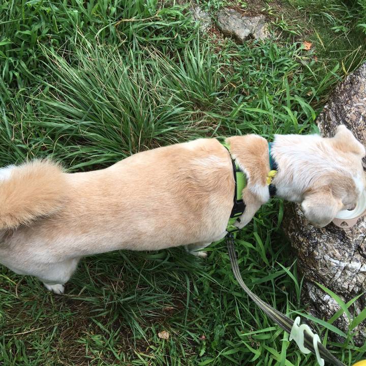 31a63ec0 a70e 4d77 982e bf191d454b5e 1534720498965