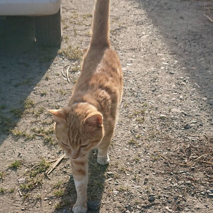 31a65273 1688 43ae 9de4 e543ca1bafb3 1557734832988