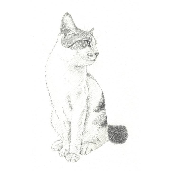 31a672aa fe2d 41ef a458 acc82d1cf653 1543840752780