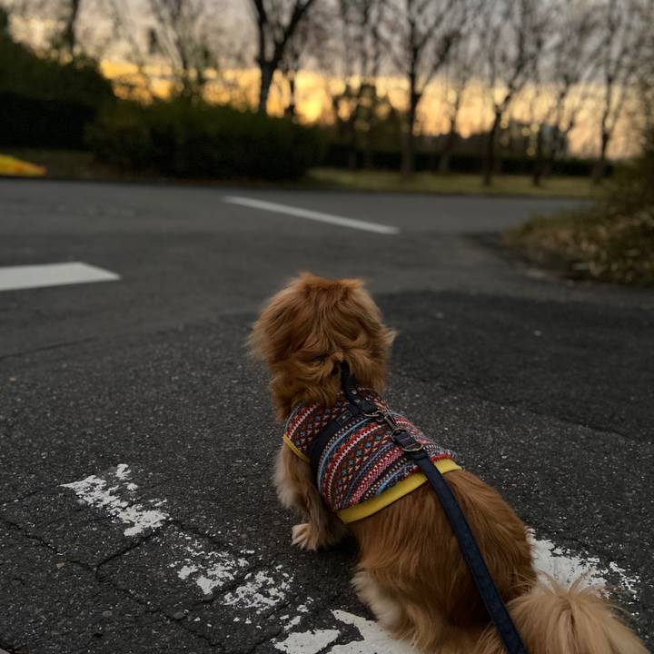 31a6bbf5 4d28 4501 80d1 7691982d41c8 1575408998439