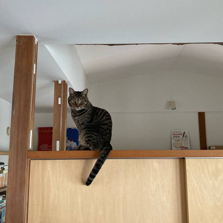 31a6be9a 96cd 4f8d bf62 c3454bd7c9c8 1724849202997