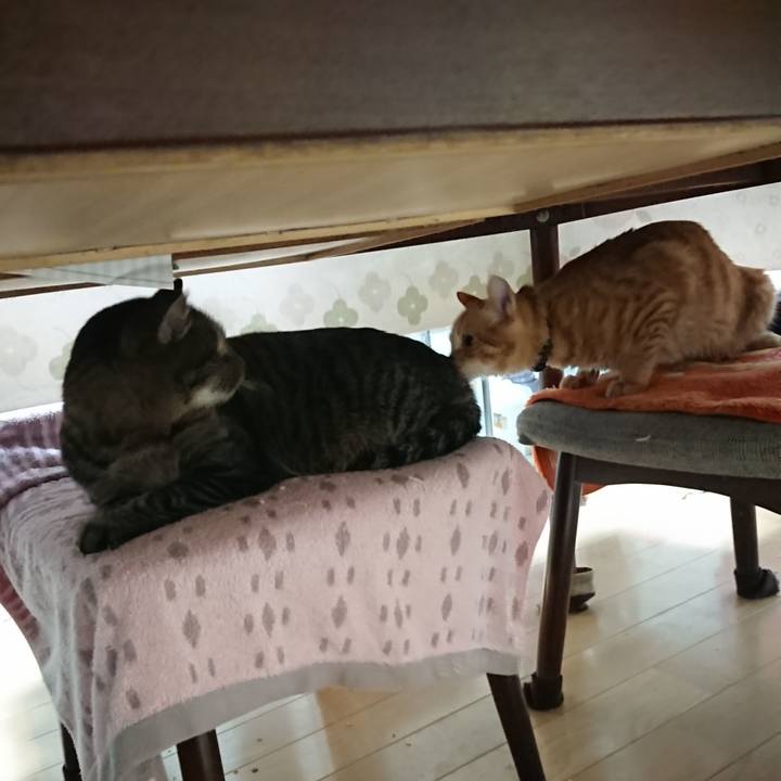 31a6e9ec 1714 465e aa11 0f4a15ef47fa 1639514808080