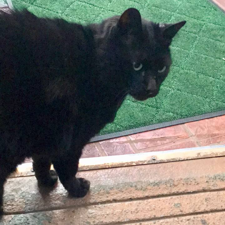 31a700b1 0d61 4422 bd28 95bb2cf1b2cc 1547471246569