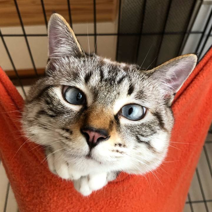 31a71b80 445e 4977 978e faadf3fe4bae 1625924110453