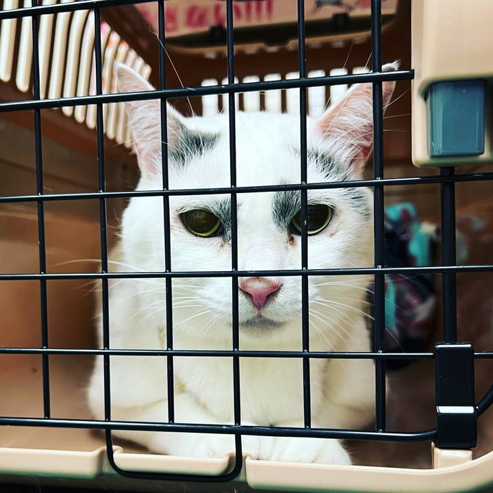 31a73dd0 d157 46a5 a29a df8d1f6af189 1637544260383