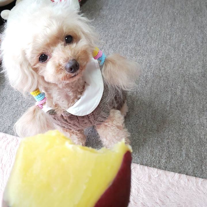 31a7959c 5625 4232 a572 01259f018f53 1580966607550