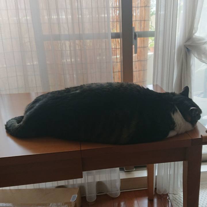 31a79f39 52b8 4dcf be33 fb5df1fe3e9f 1559354425719