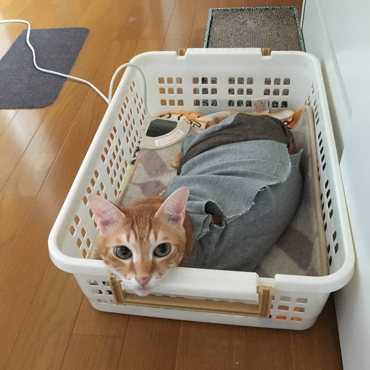 31a7bc83 1db0 490d 85ad 8e92dde5c2e7 1538086776775