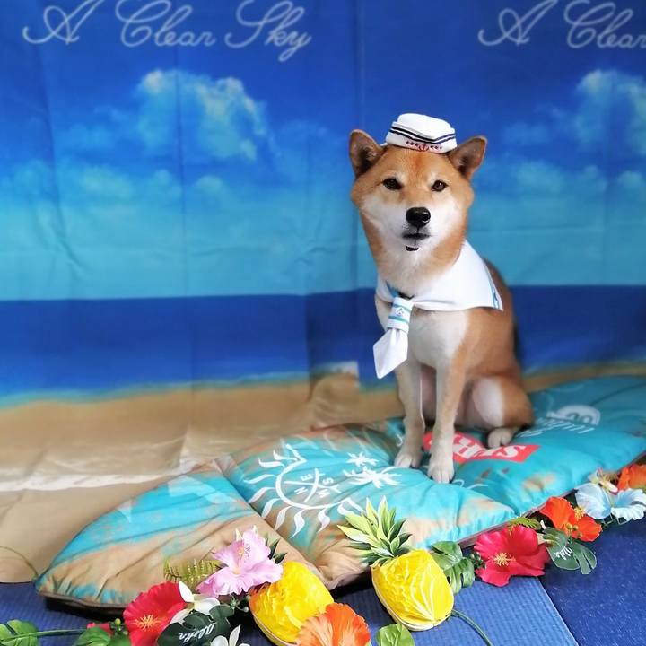 31a7d402 1d99 4b94 9386 c8e3cbb55892 1597210033200