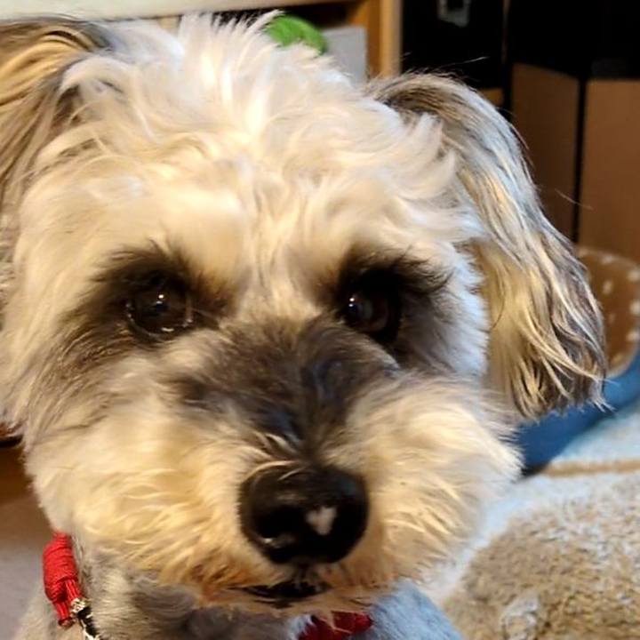 31a82dfb 70d9 46b4 8209 9818c6889dd0 1753093109074