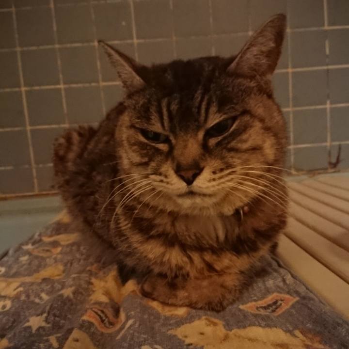 31a868b3 499d 402b 8fce ee6898f62b14 1581587866761